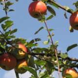 1109F 121 Trier-Paderborn